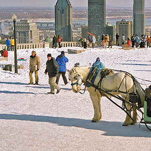 study english in canada cultural experience